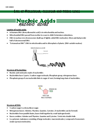 HIST 101: Civil Rights Movement Overview and Key Events Analysis - Studocu