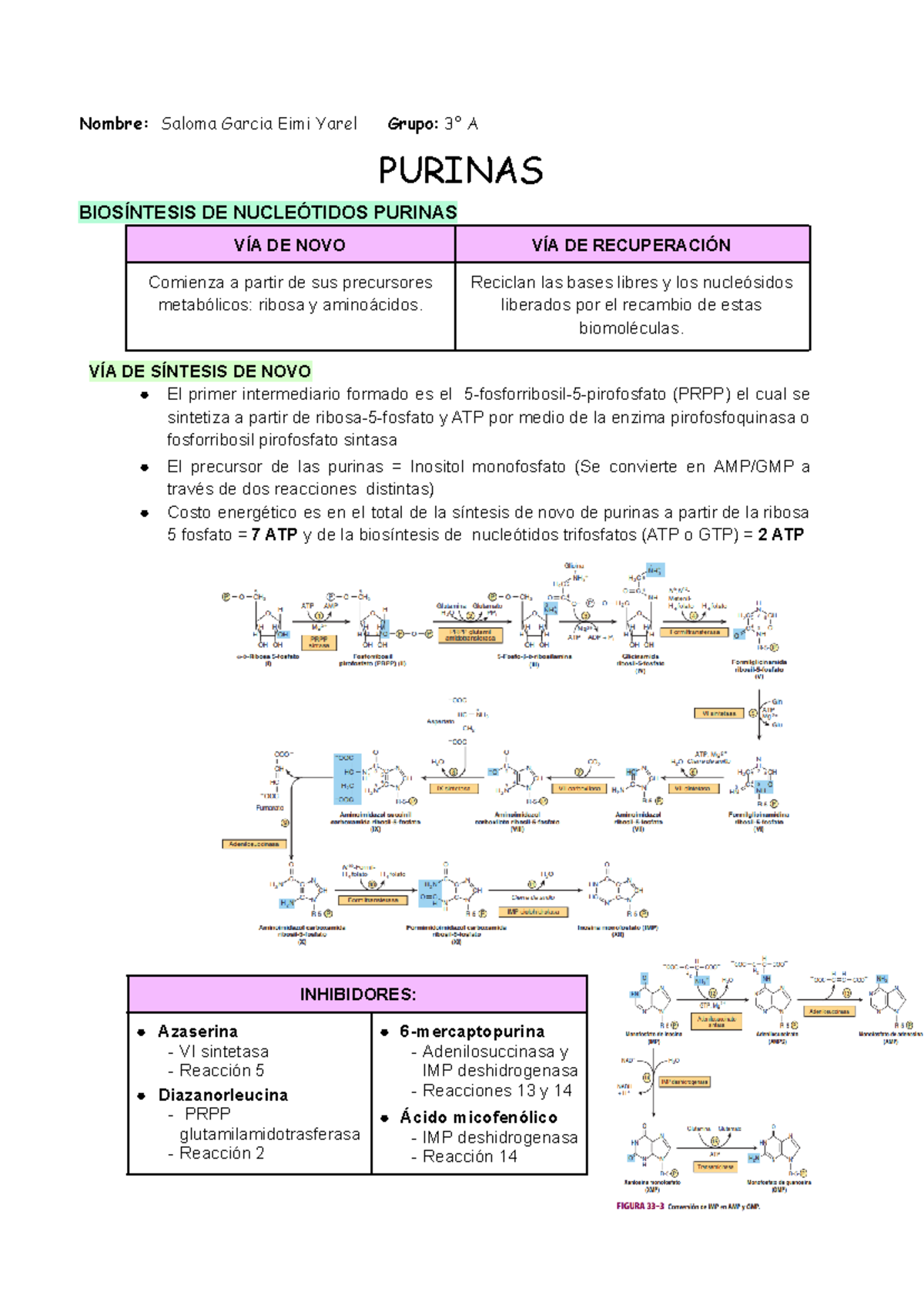 Síntesis y Degradación de Purinas y Pirimidinas - Biología Molecular - Document Preview