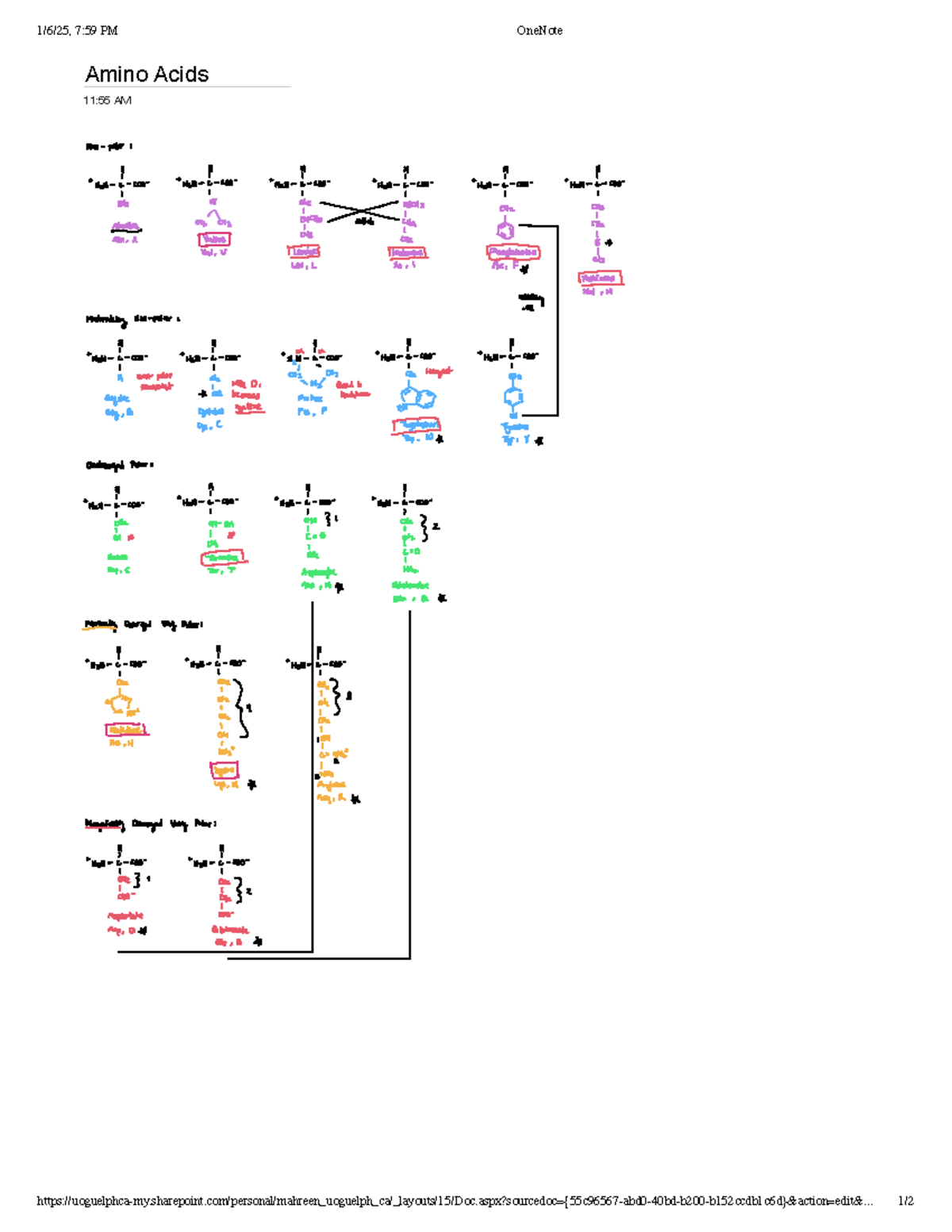 BIO6 - kjkknk - Amino Acids 11:55 AM 1/6/25, 7:59 PM OneNote - Studocu