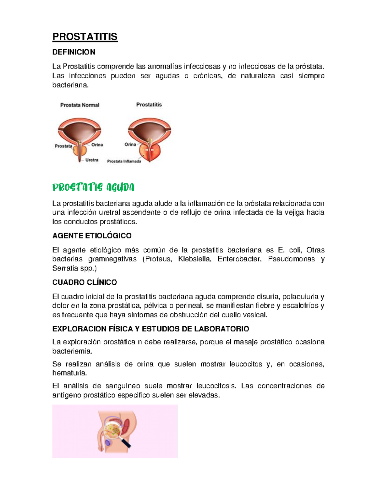 Prostatitis: Apuntes de Clasificación y Tratamiento Clínico - Studocu