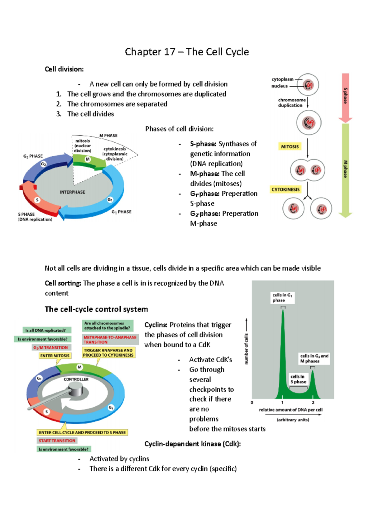 Molecular Biology of the Cell: Chapter 17 - The Cell Cycle Insights ...