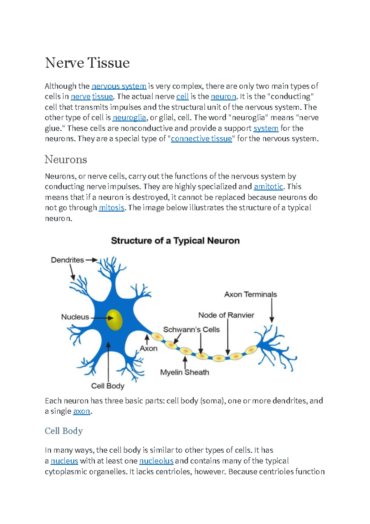 Nerve Tissue Overview: Structure & Function of Neurons and Glial Cells ...