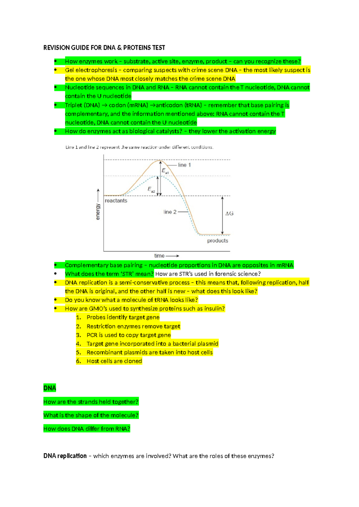 REVISION GUIDE FOR DNA & PROTEINS TEST: Enzymes, Replication ...