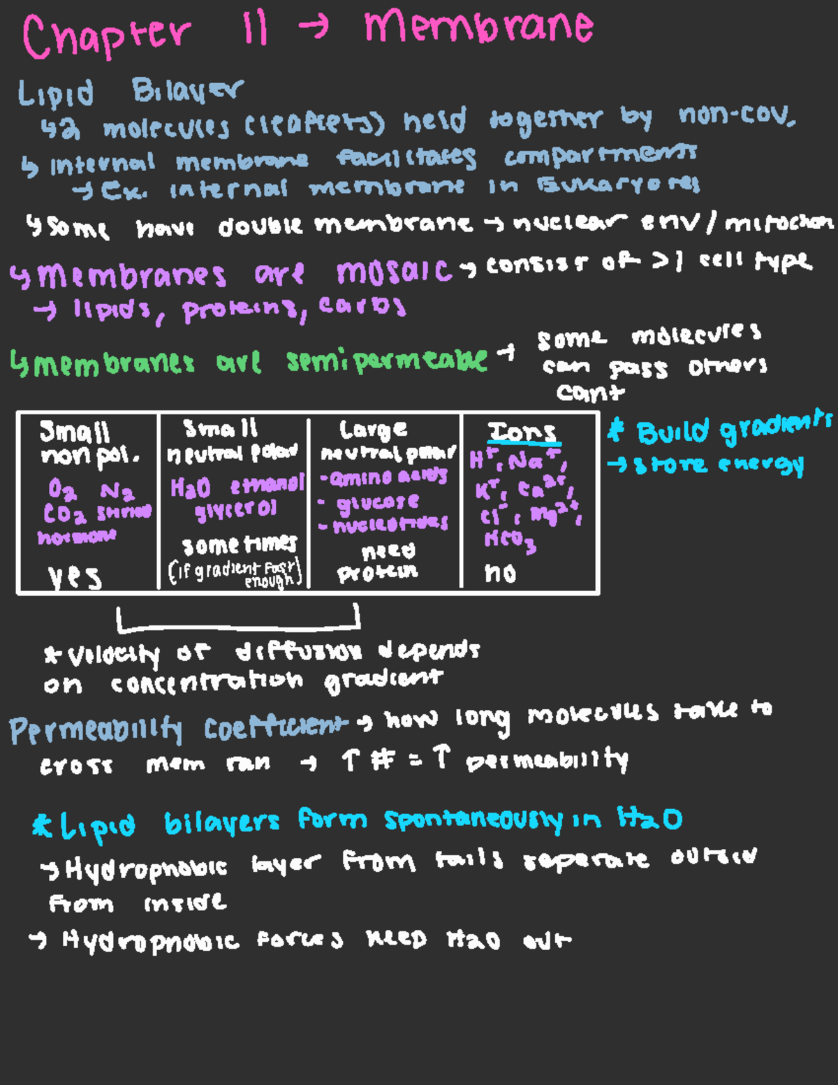 Membrane Structure and Transport Mechanisms: CH 11 & 12 Notes - Studocu