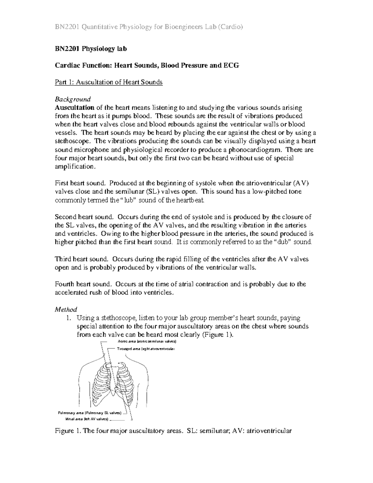 BN2201 Cardio Lab: Heart Sounds, Blood Pressure & ECG Analysis - Studocu