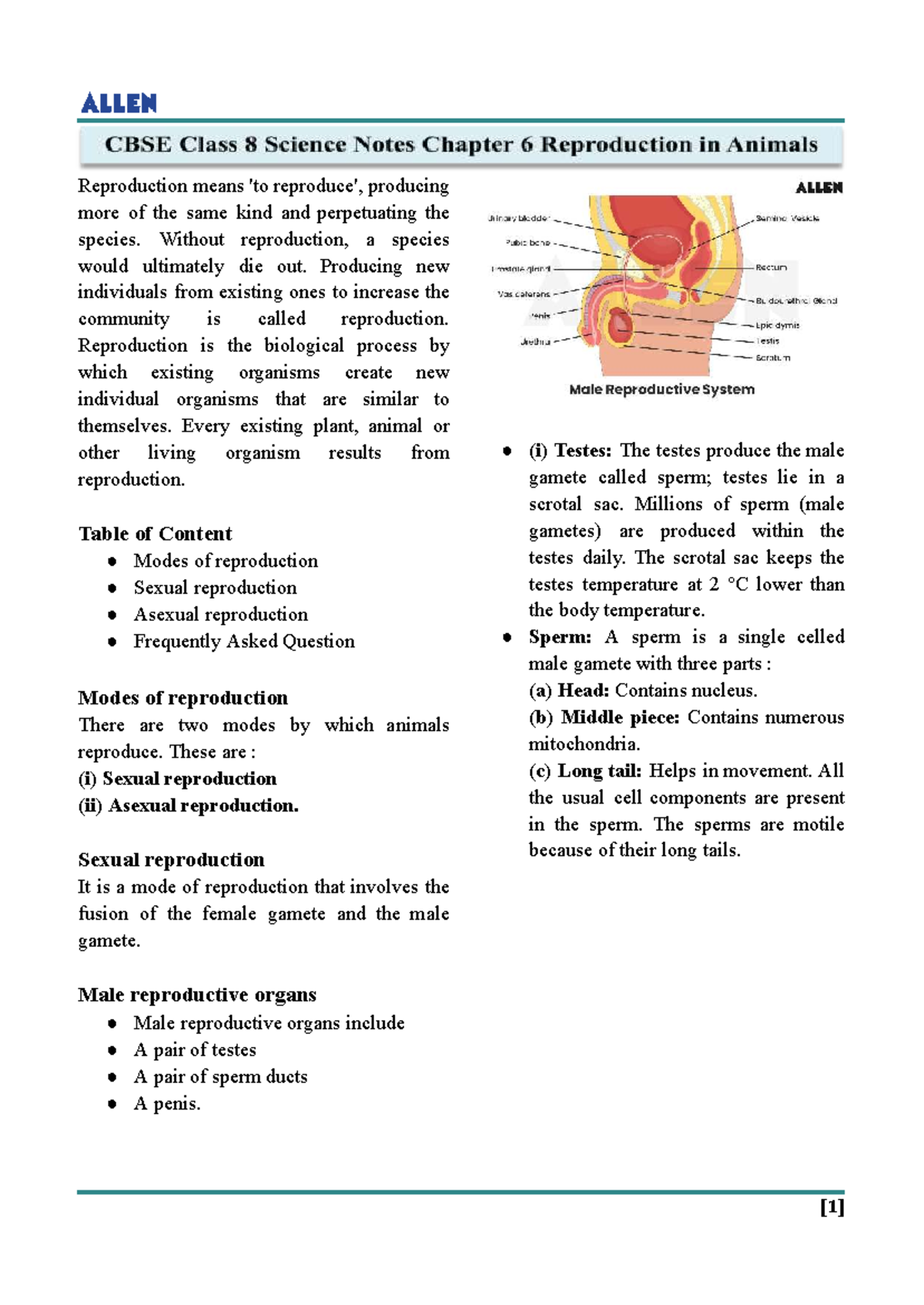 Reproduction in Animals - Class 8 Chapter 6 CBSE Notes - Studocu