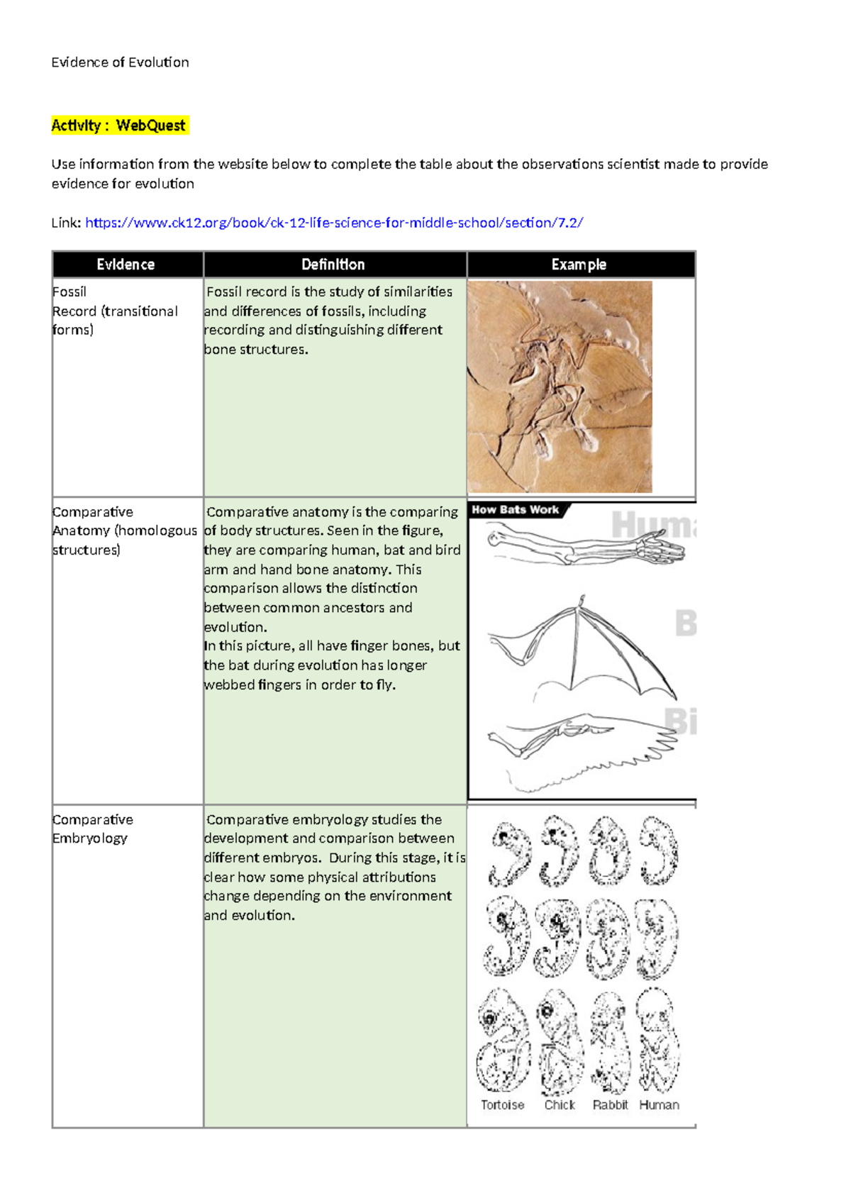 Evidence of Evolution Activity: WebQuest Insights and Observations ...