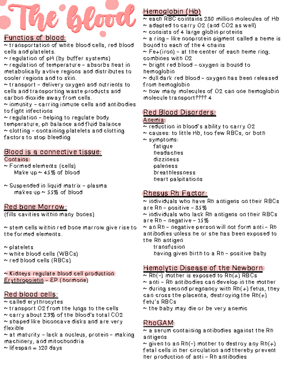 Blood Physiology & Functions: Key Components and Disorders Overview ...