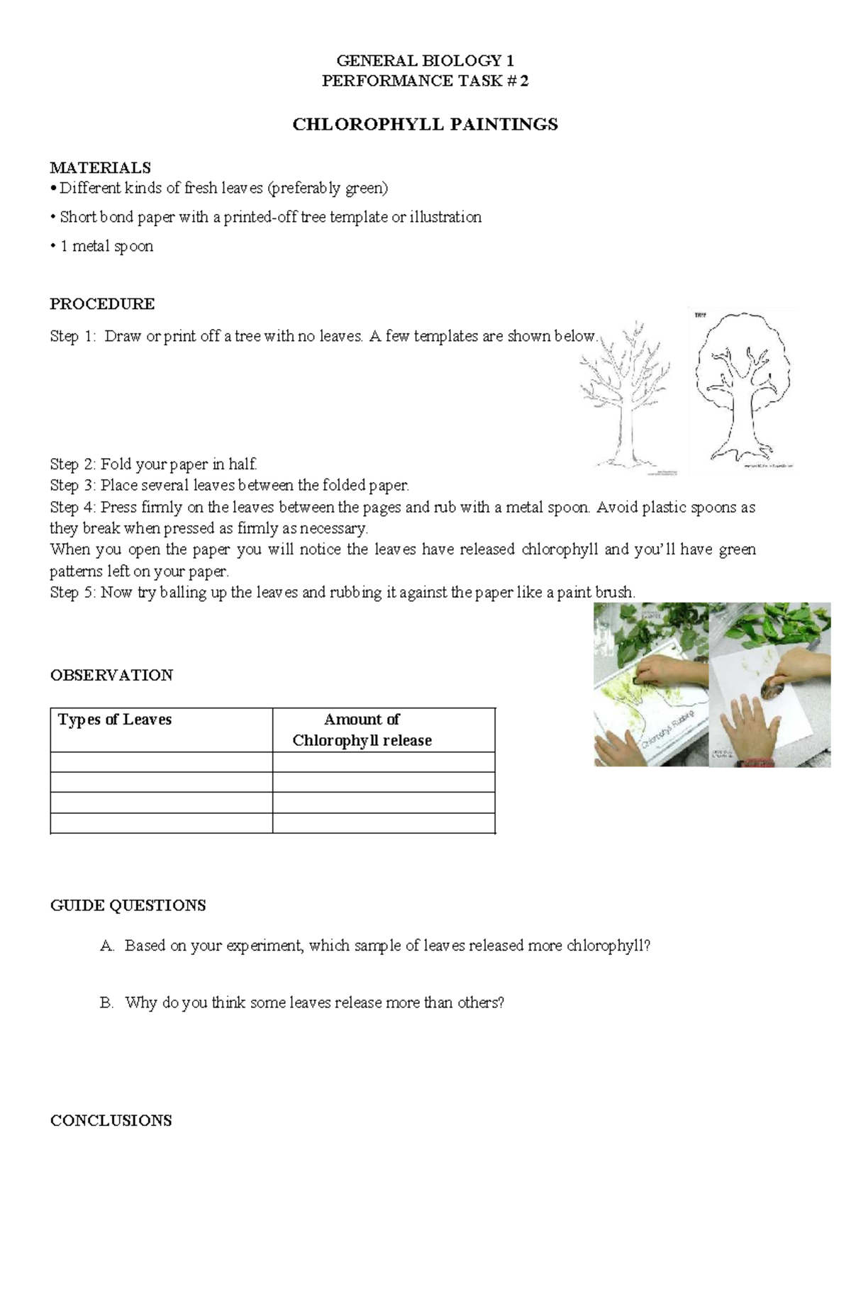 GENERAL BIOLOGY 1: Performance Task 2 - Chlorophyll Paintings - Studocu