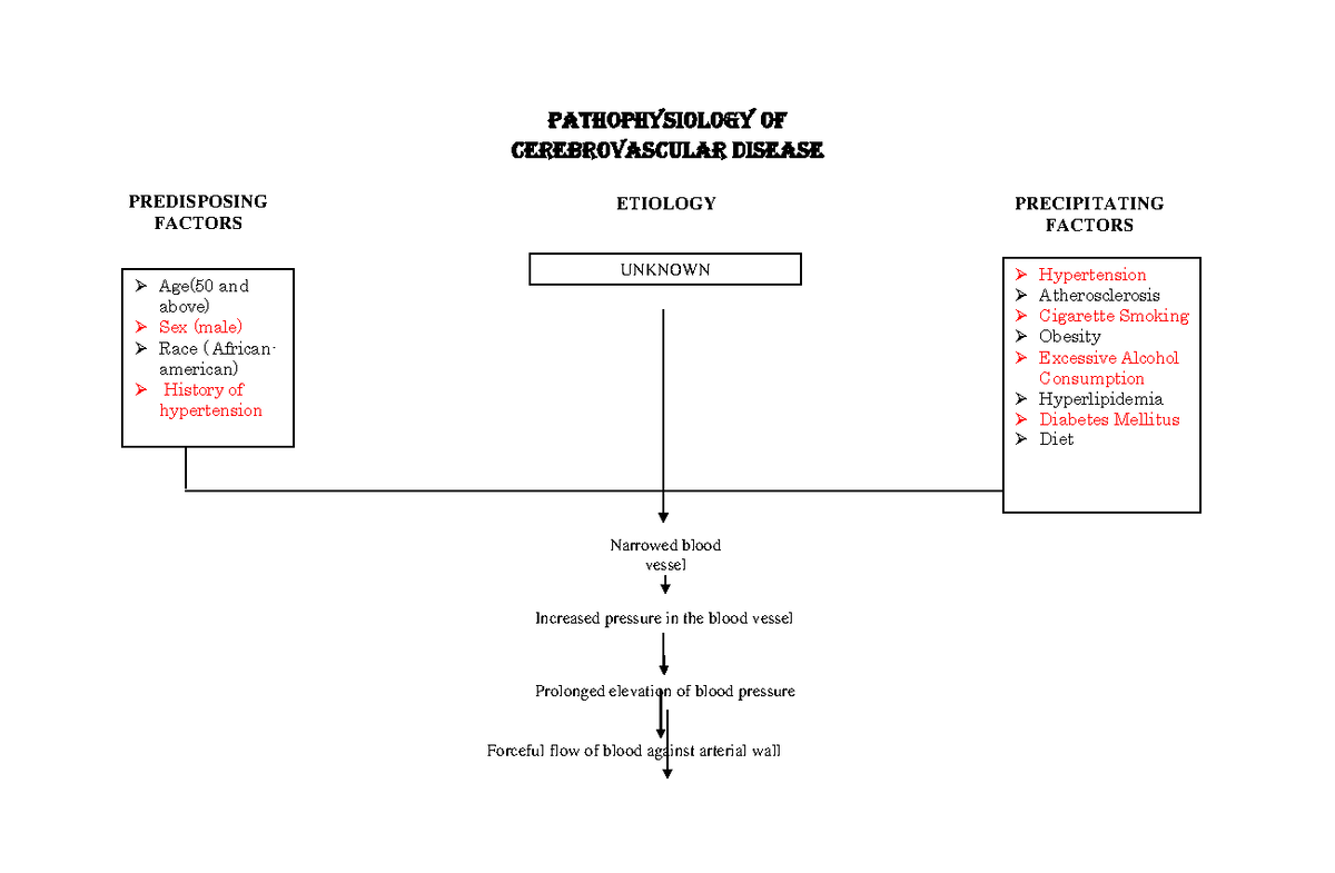 CVA Pathophysiology: Understanding Cerebrovascular Disease Mechanisms ...