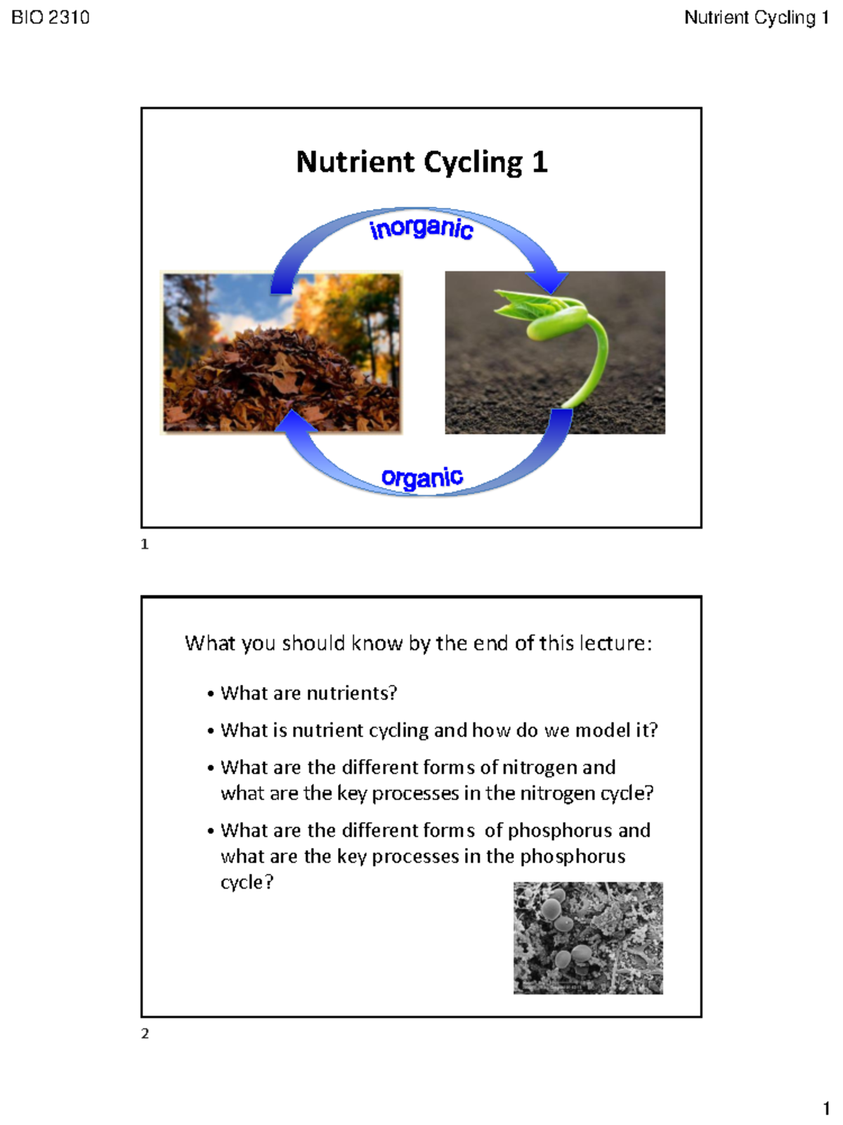 BIO 2310 Lecture: Nutrient Cycling 1 - Studocu