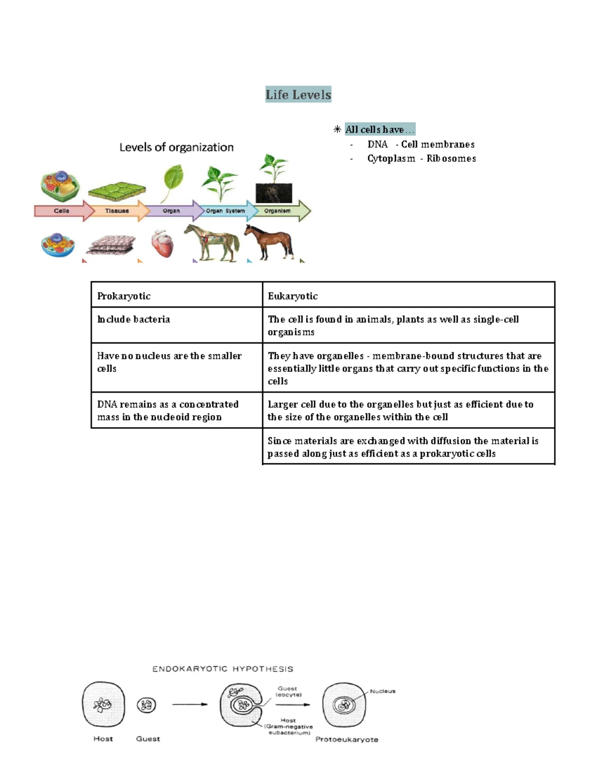 Chapter 11 Notes - Chapter 11 Cell cycle+cell Division 11 Cell division ...