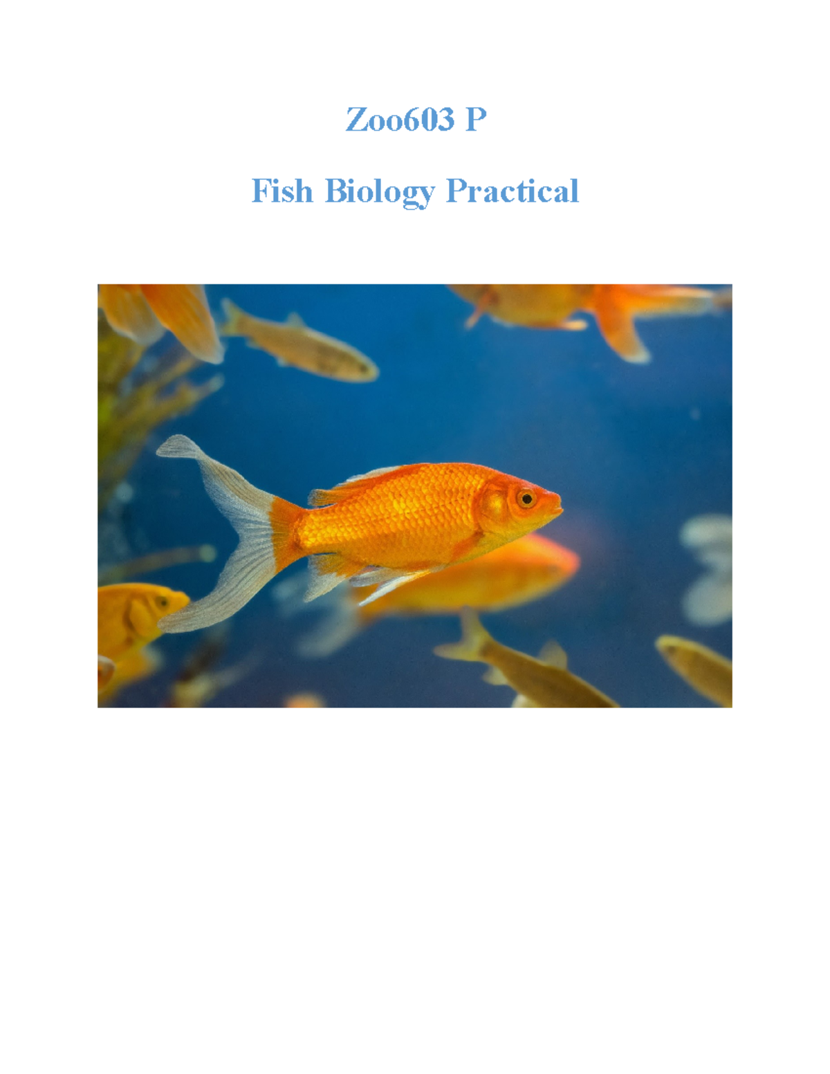 Zoo603 P Fish Biology Practical Manual: Collection, Preservation, and ...