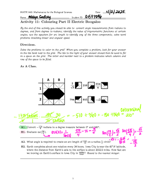 MATH 1440: Activity 7 - Carbon Decay and Linear Equations Analysis ...