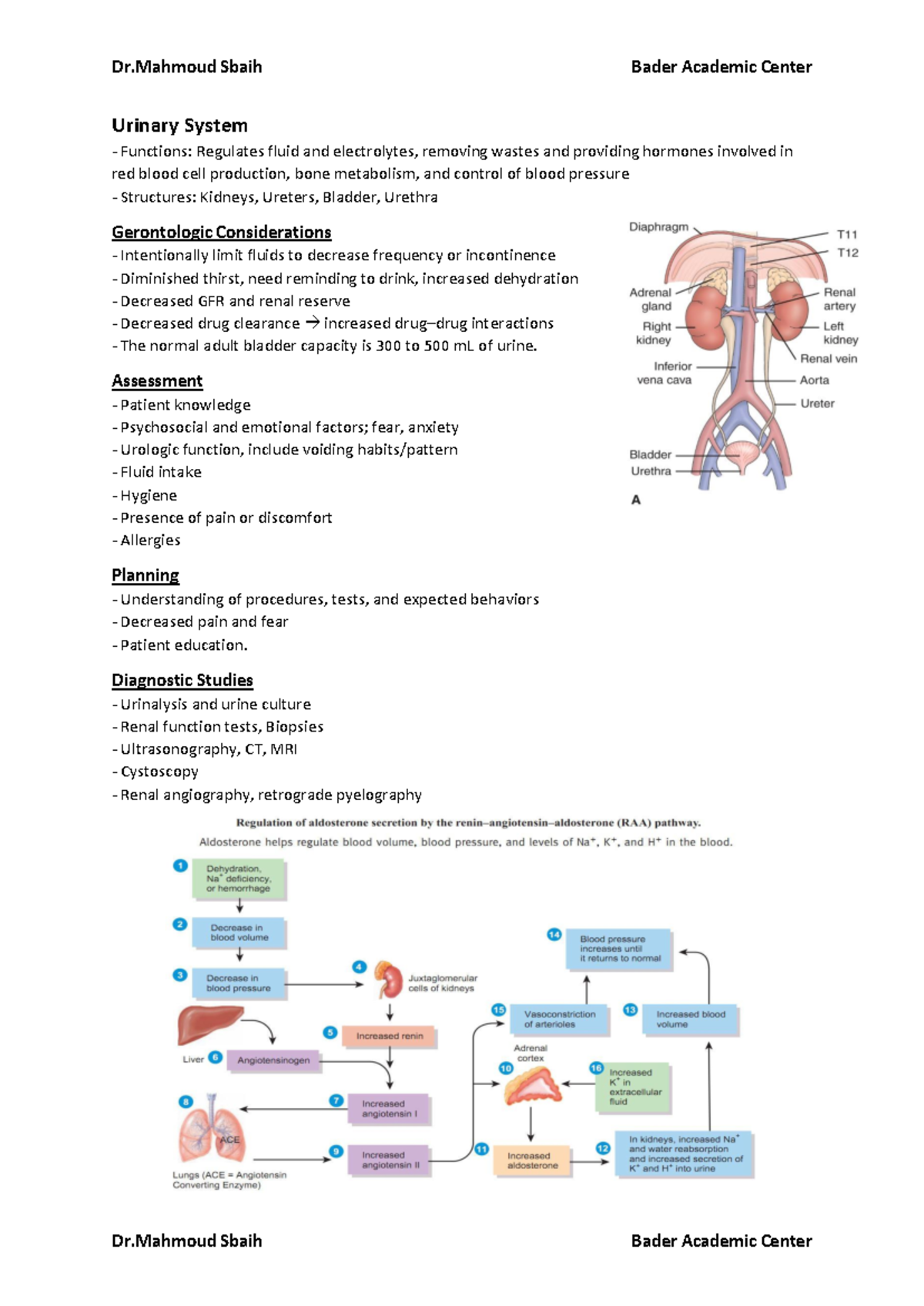 Renal System Overview: Key Concepts and Patient Management (53+54+55 ...