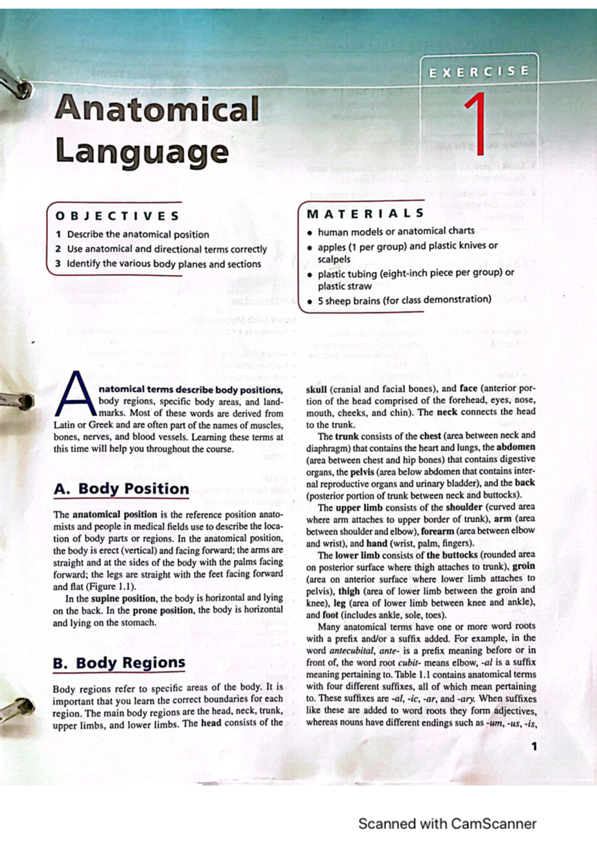 Biol Anatomical Language - Anat Saar omicz Language OBJECTIVES 1 ...