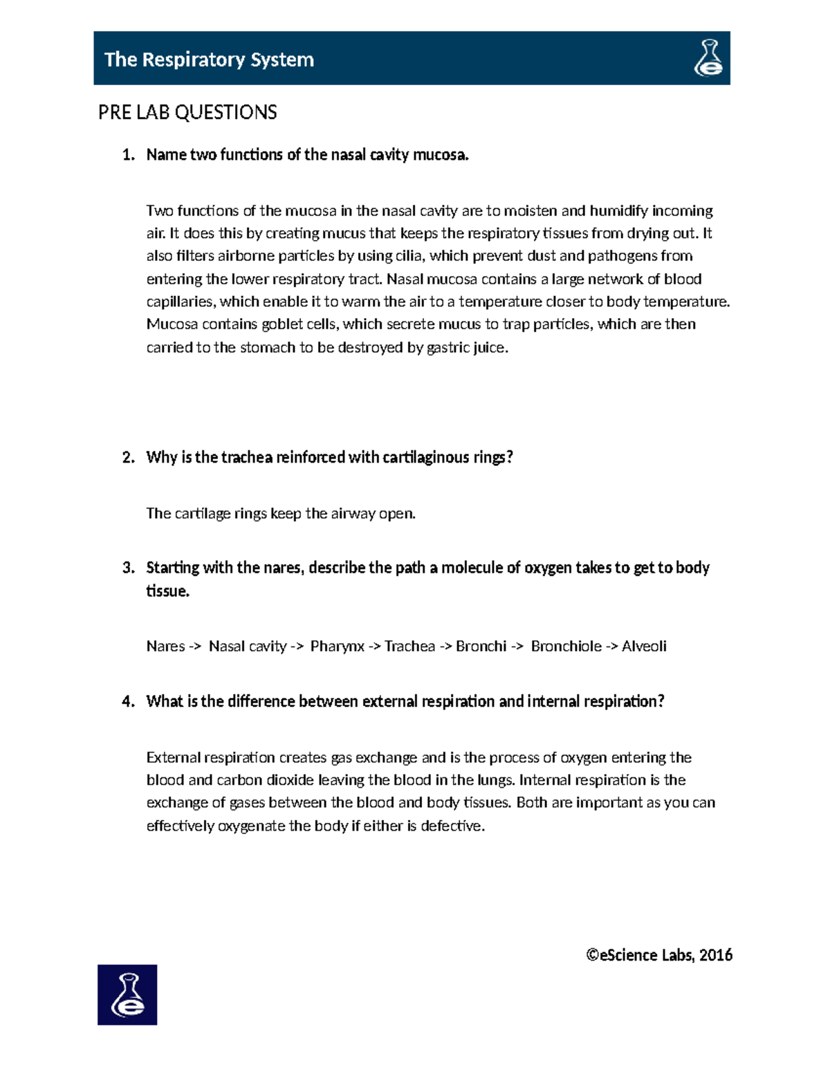 Respiratory System Lab: Pre-Lab Questions & Spirometry Data Analysis ...