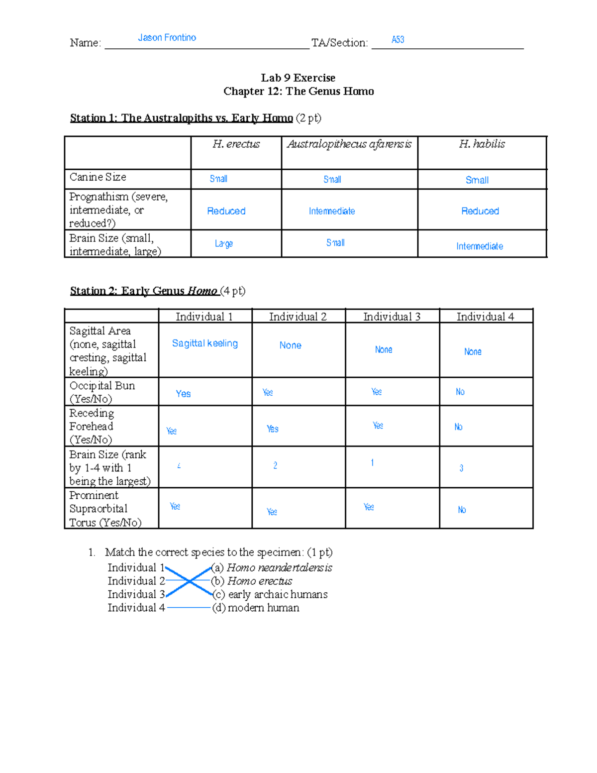 9 - 2024 Genus Homo - Lab - Name ...