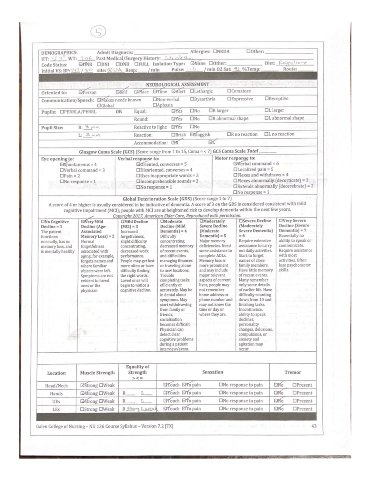 NU 136 Clinical Assessment Packet: Comprehensive Patient Evaluation ...