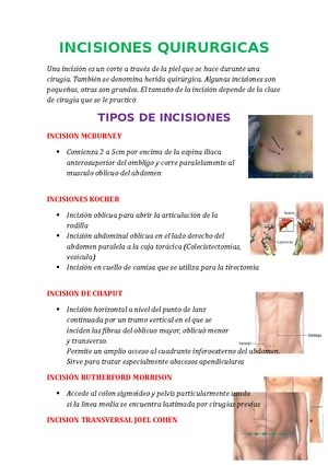 Tipos de Incisiones Quirúrgicas en el Abdomen - 2019 56776 - Studocu