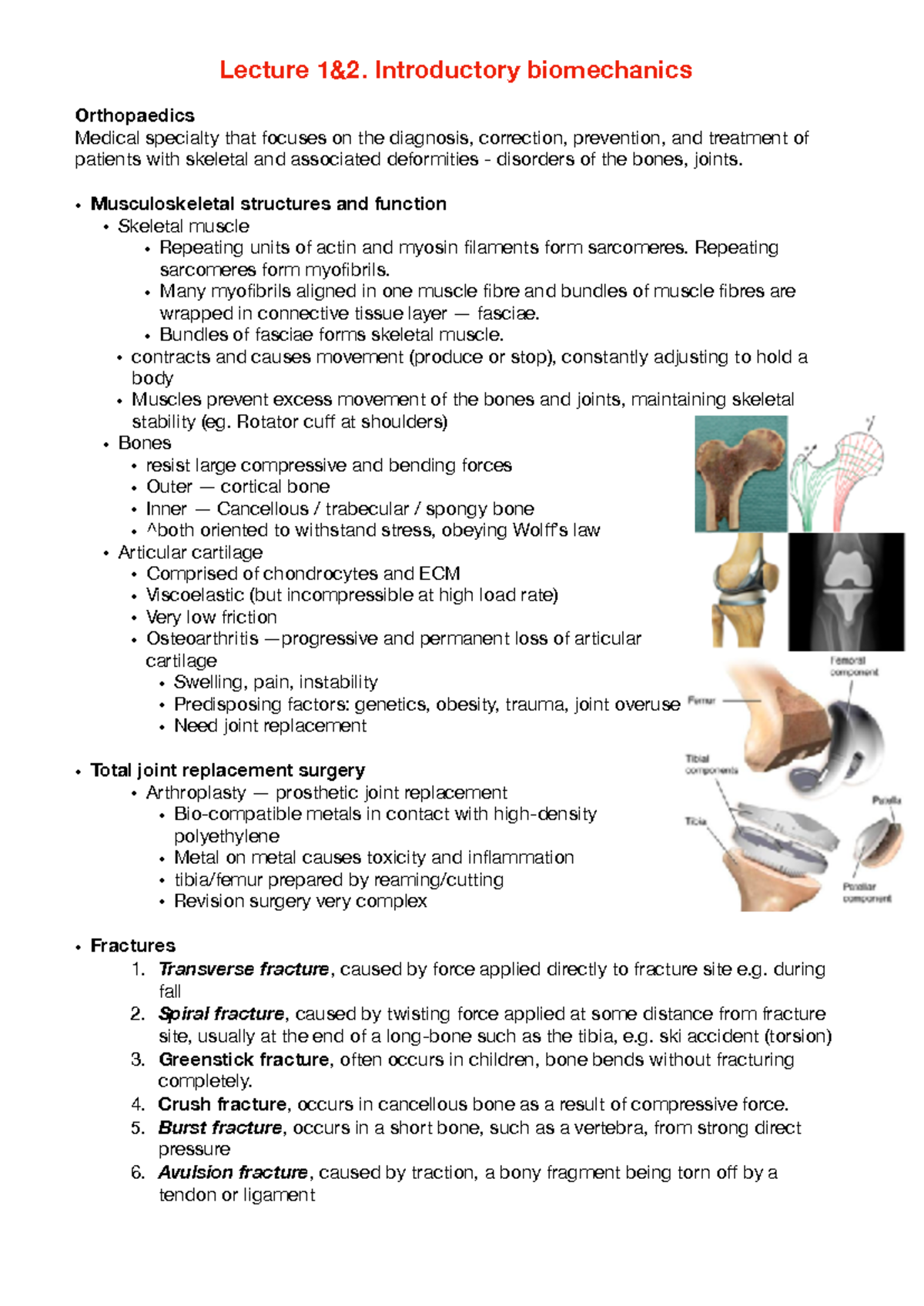 Biomechanics Lecture Notes - Detailed Overview of Human Movement - Document Preview