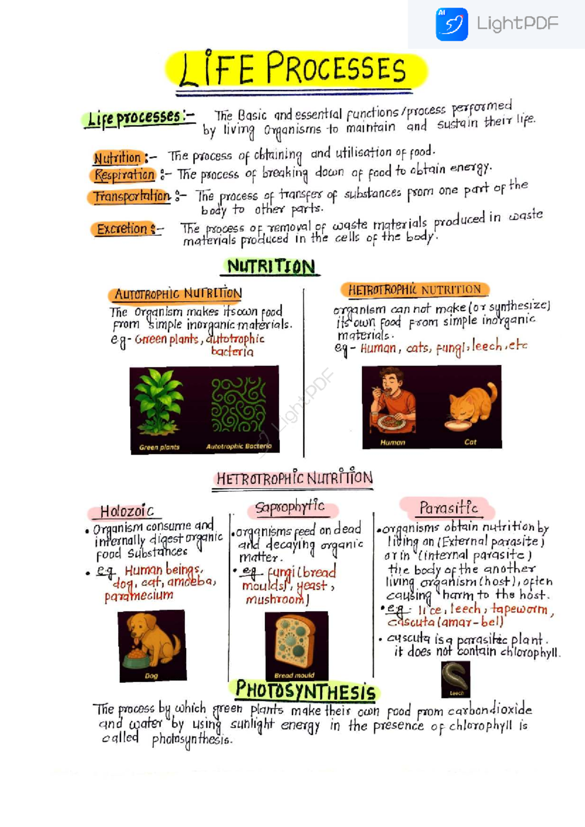 Foundation Alakh-Sir-Notes 10th Biology: Life Processes Overview - Studocu