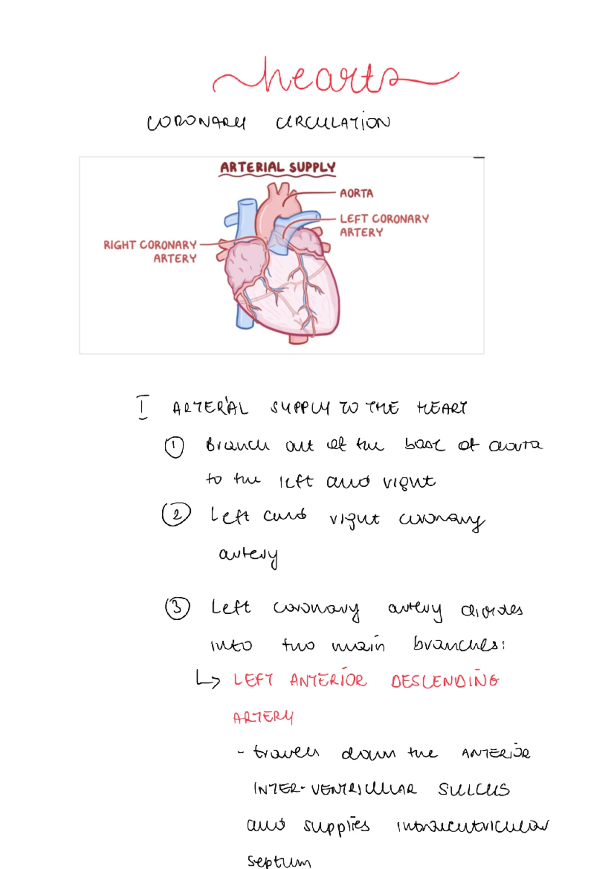 2. Heart and Great Vessels - Heart and Great Vessels Learning ...
