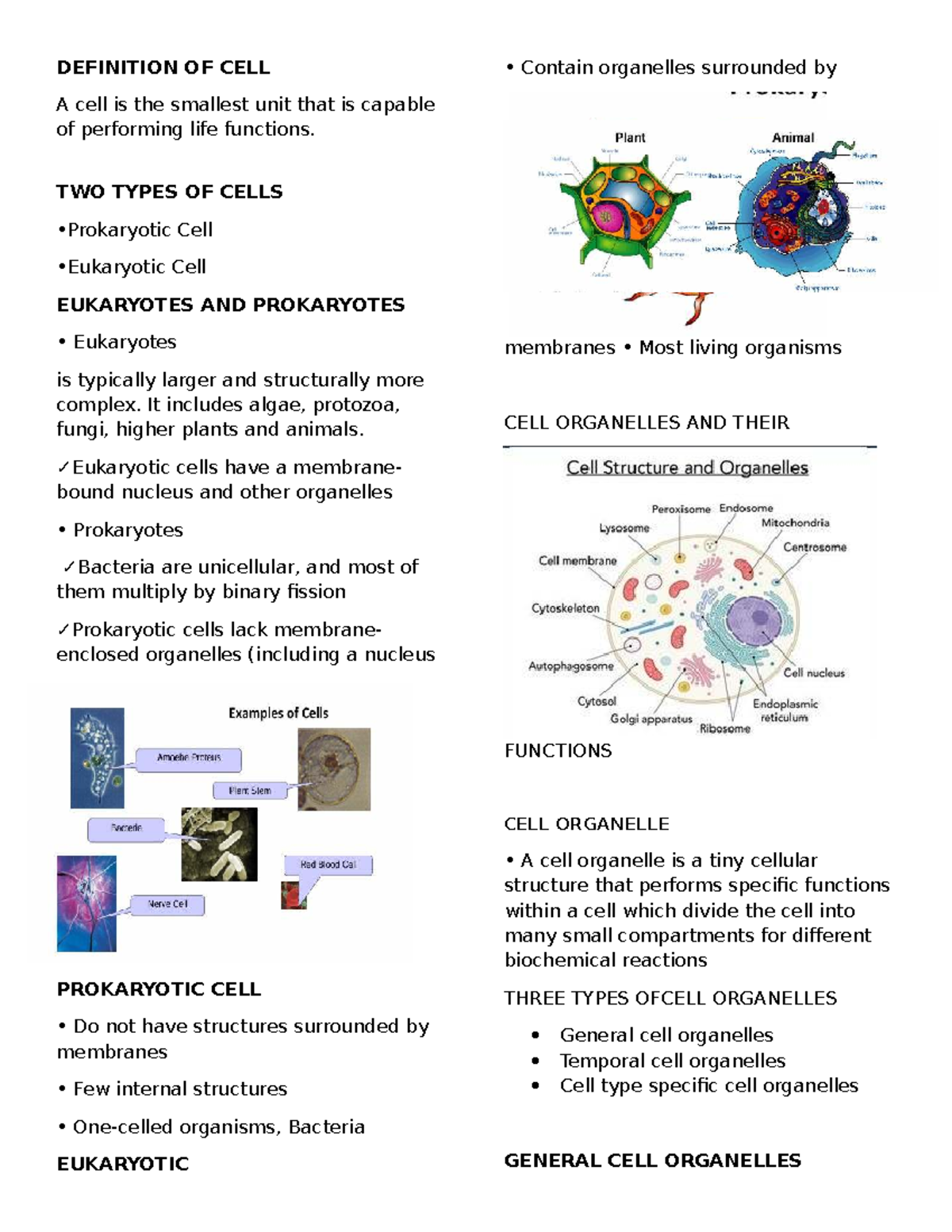 CELL 101: Comprehensive Review of Cell Structure and Organelles - Studocu