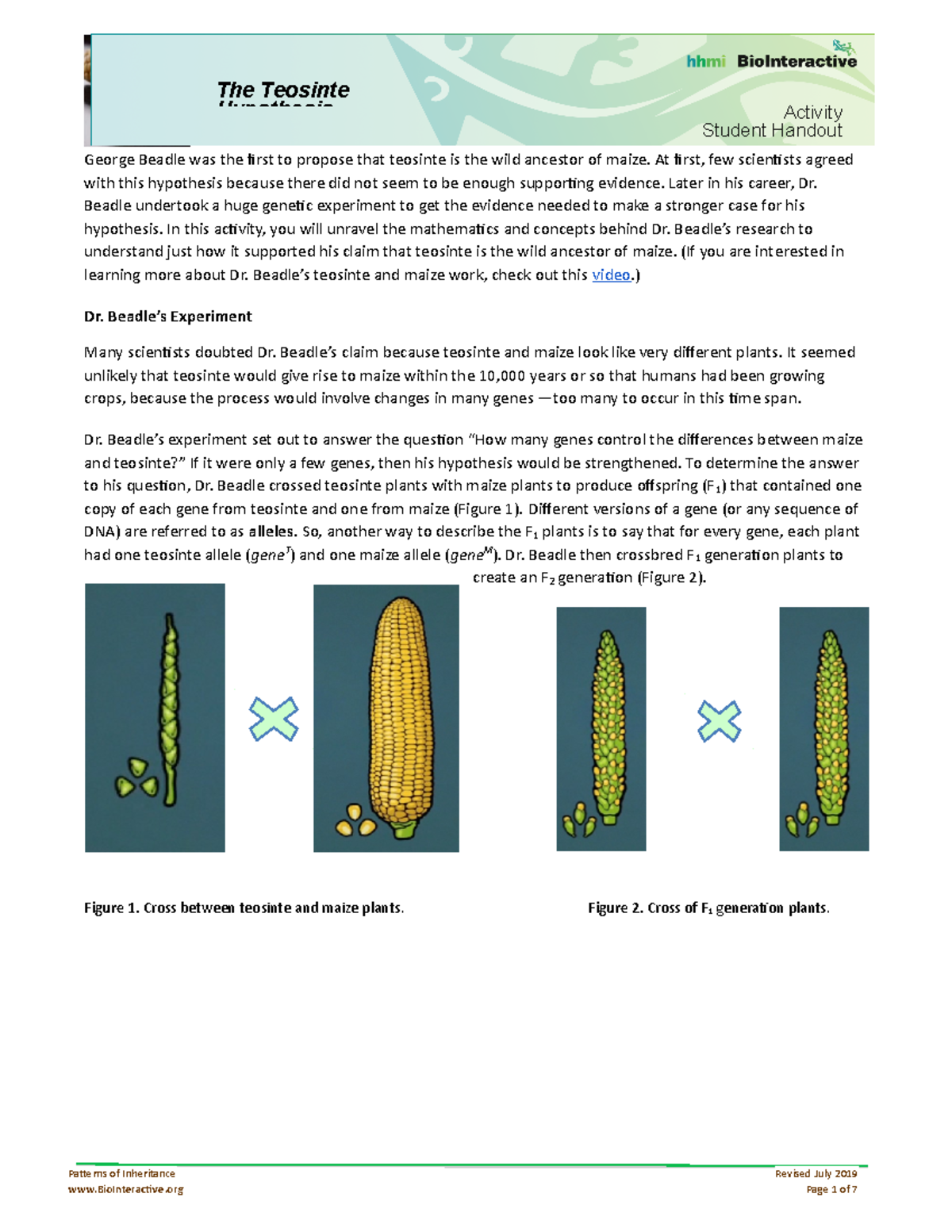 Genetic Analysis of Teosinte and Maize: Beadle's Hypothesis Unraveled ...