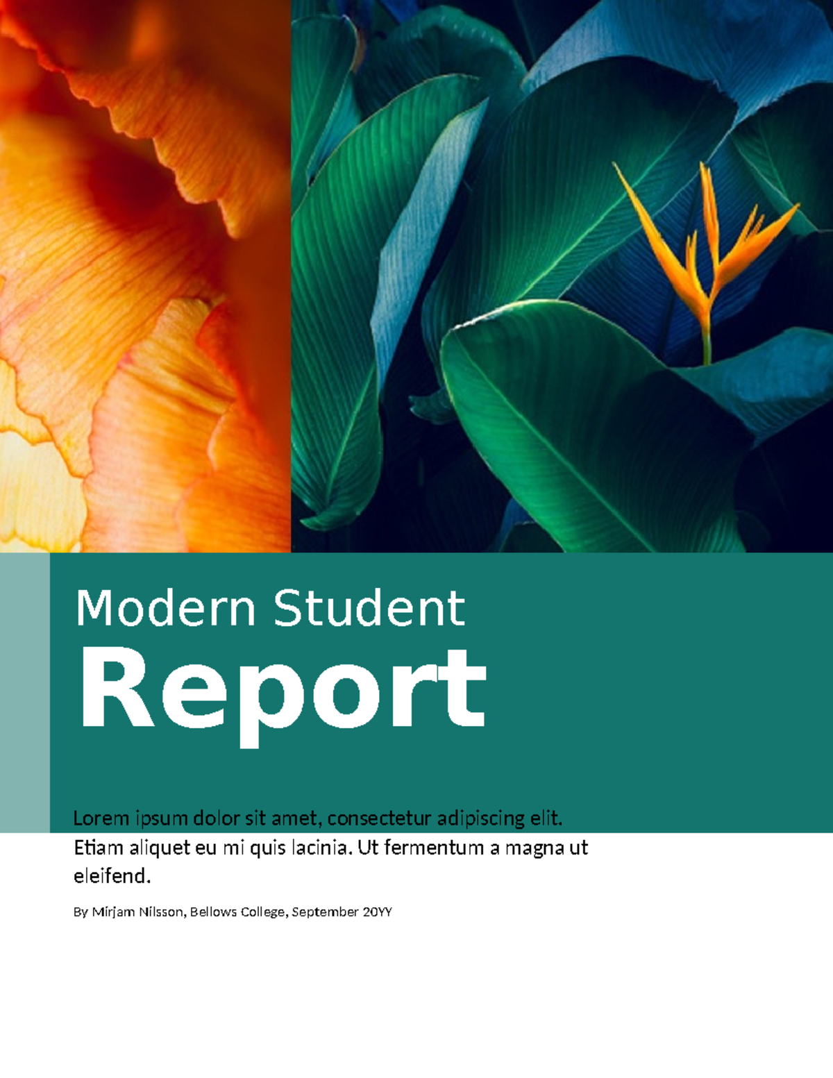 Modern Student Report: Insights and Analysis - Studocu