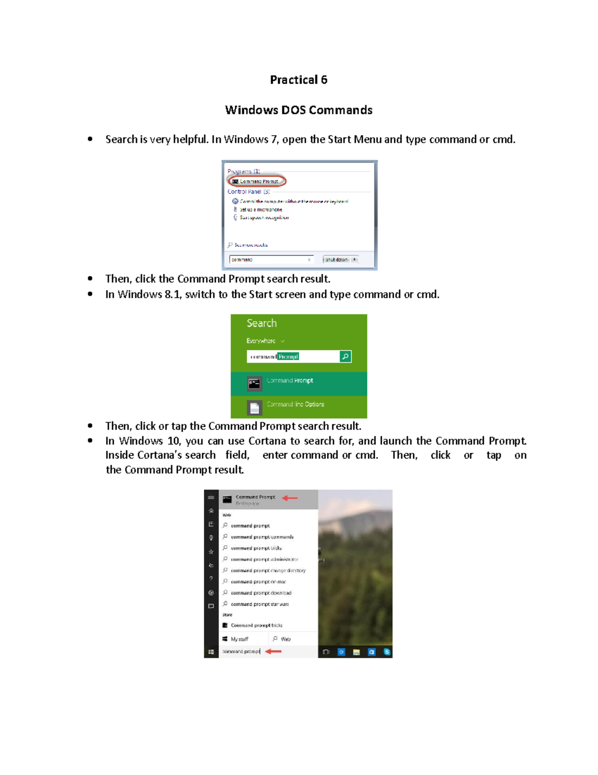 Practical file personal computer software - Practical 6 Windows DOS ...