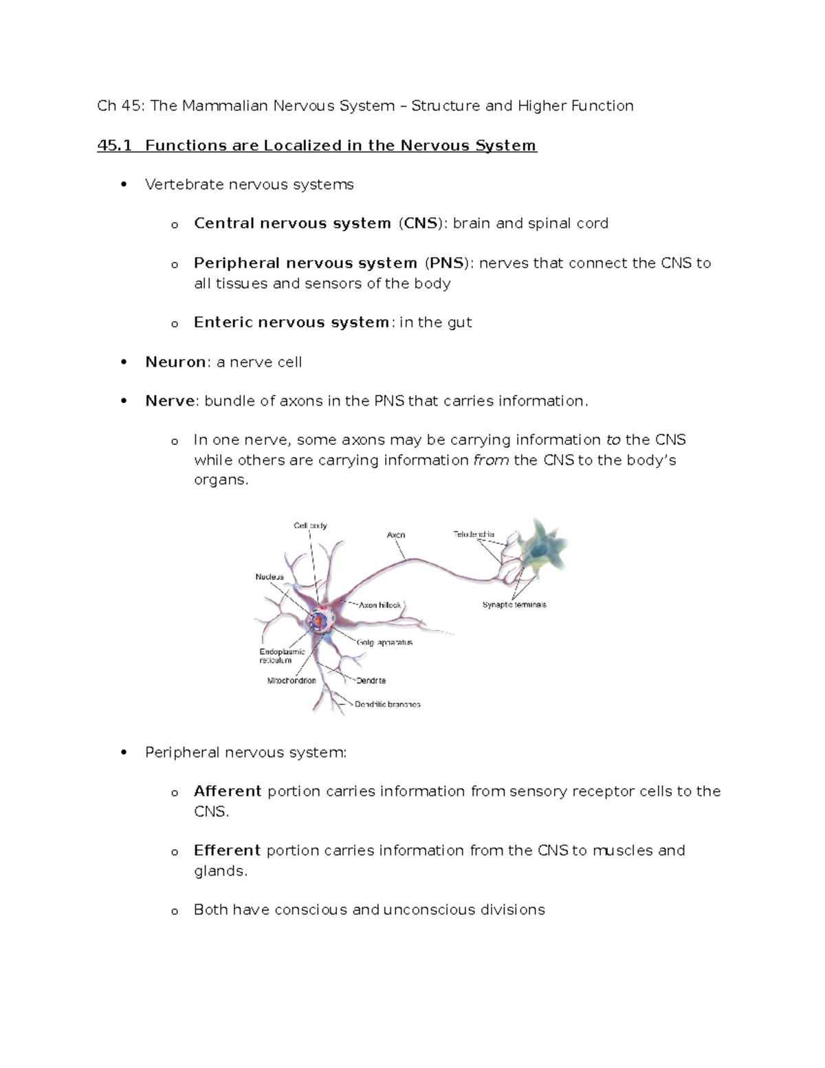 BIOL 105 Ch 45 The Mammalian Nervous System: Structure & Function - Studocu