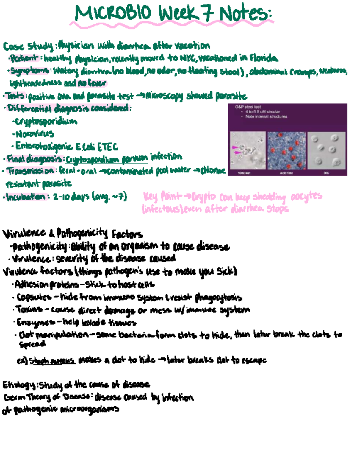 Immunology Concepts and Pathogen Defense Mechanisms - BIOL 101 Final ...