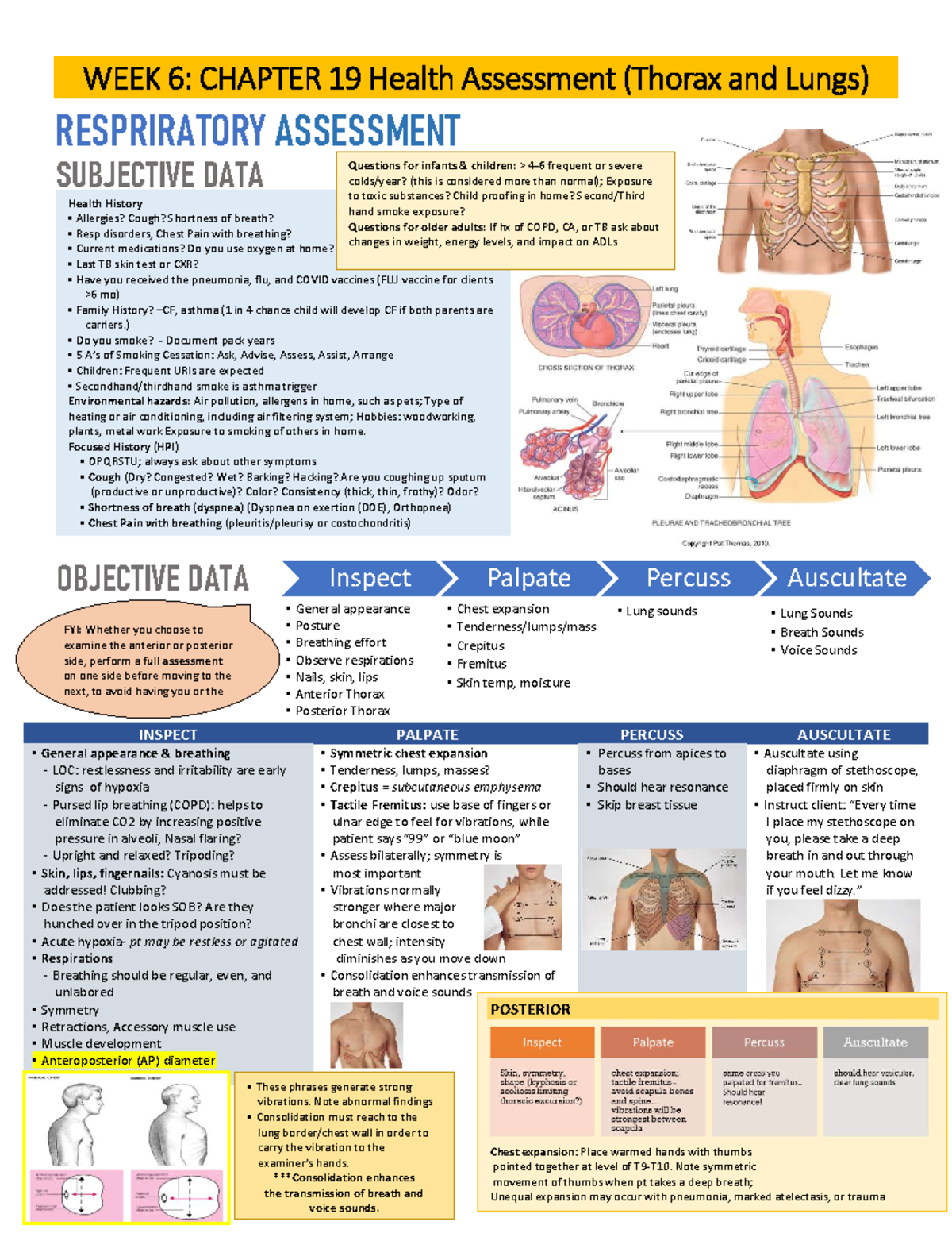 W6: Ch19 Respiratory & Abdominal Assessment Guide - Studocu