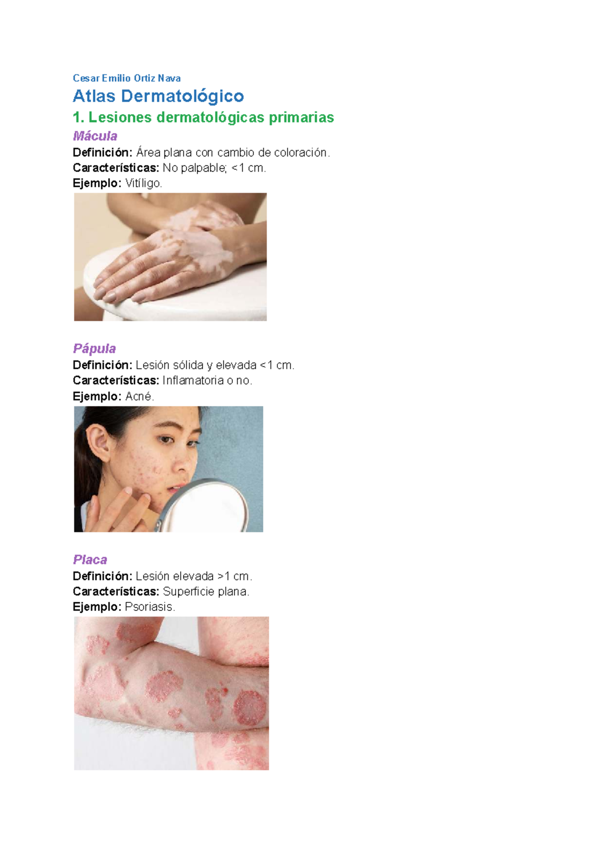 Atlas Dermatológico: Lesiones Primarias y Secundarias - Document Preview