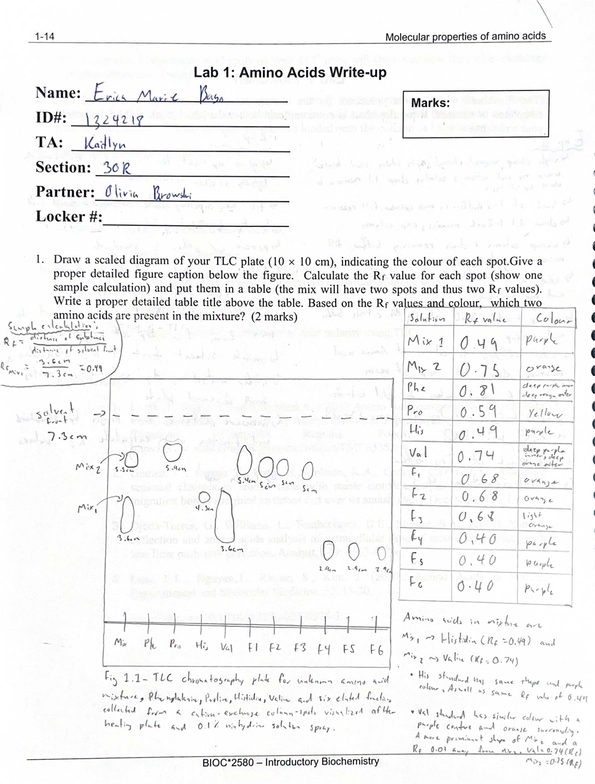 Lab 1: TLC Analysis of Amino Acids in Biochemistry 2580 - Studocu