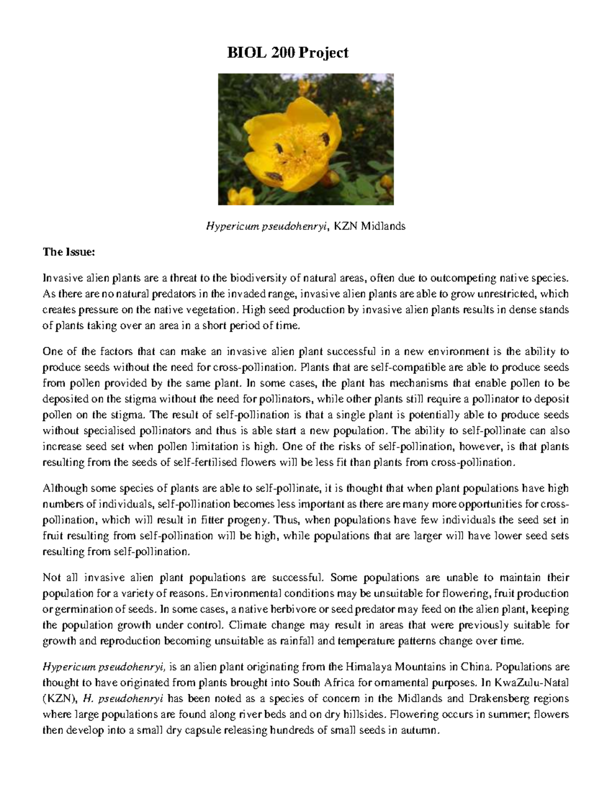 BIOL 200 Project: Invasive Impact of Hypericum pseudohenryi in KZN ...