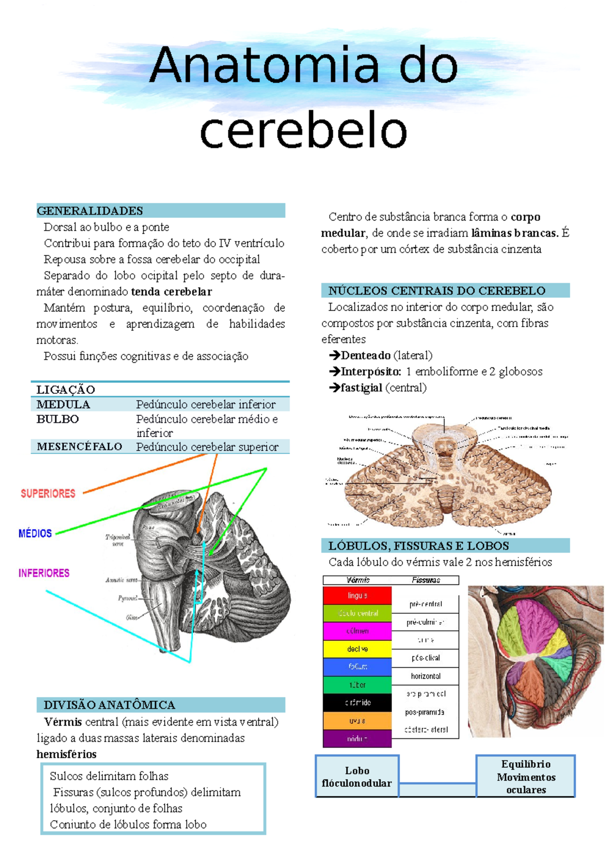 Anatomia Do Cerebelo 413x413