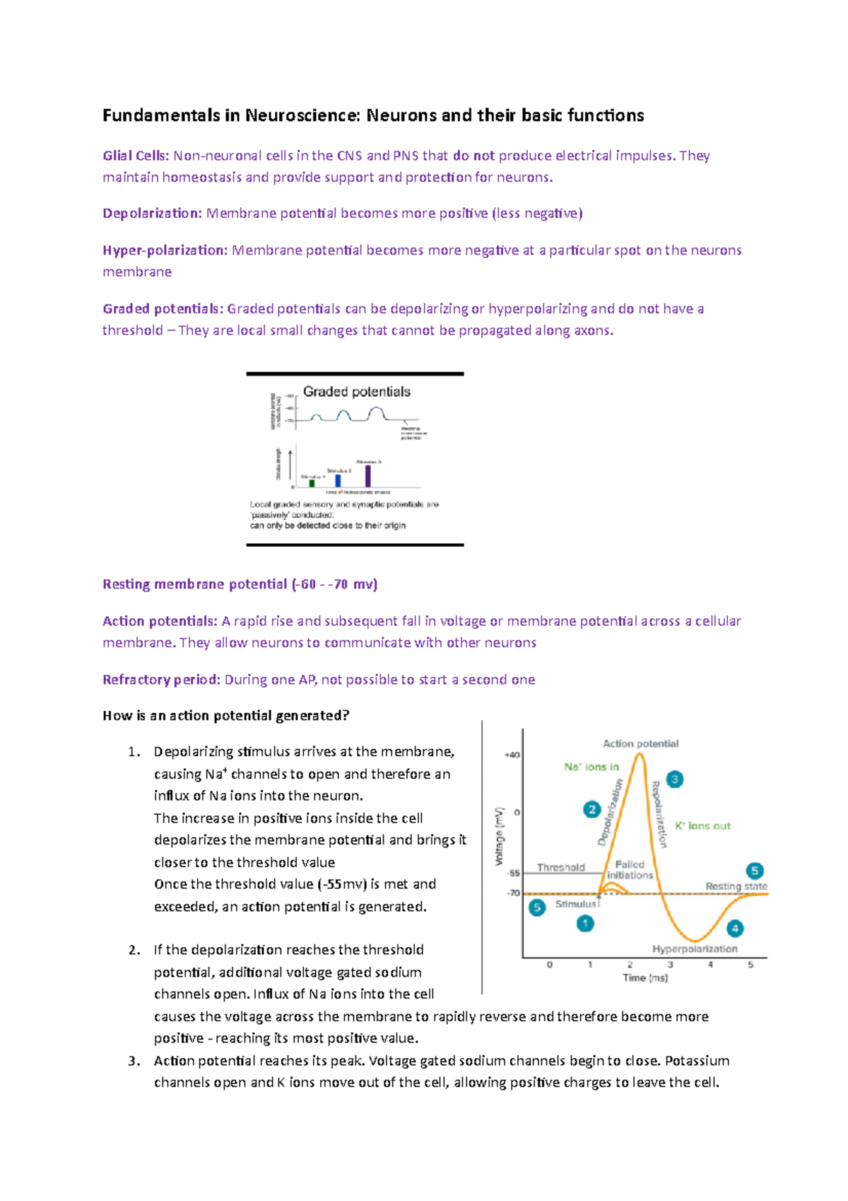 Fundamentals in Neuroscience: Key Concepts of Neurons and Action ...