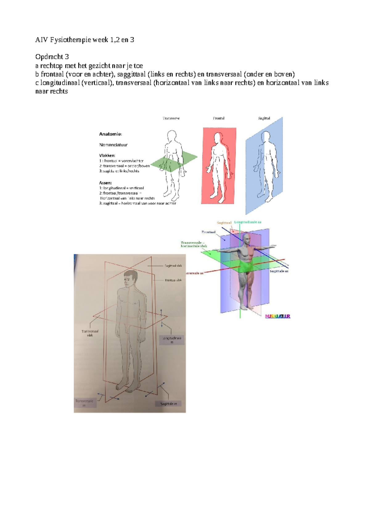 AIV Fysiotherapie week 1, 2 en 3 - fysiotherapie jaar 1 - AIV ...