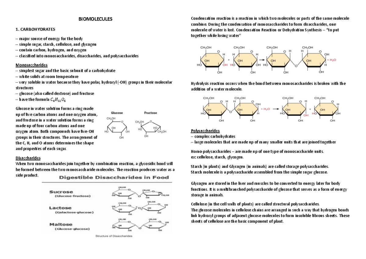 Biomolecules Overview: Carbohydrates, Lipids, Nucleic Acids Study Notes ...