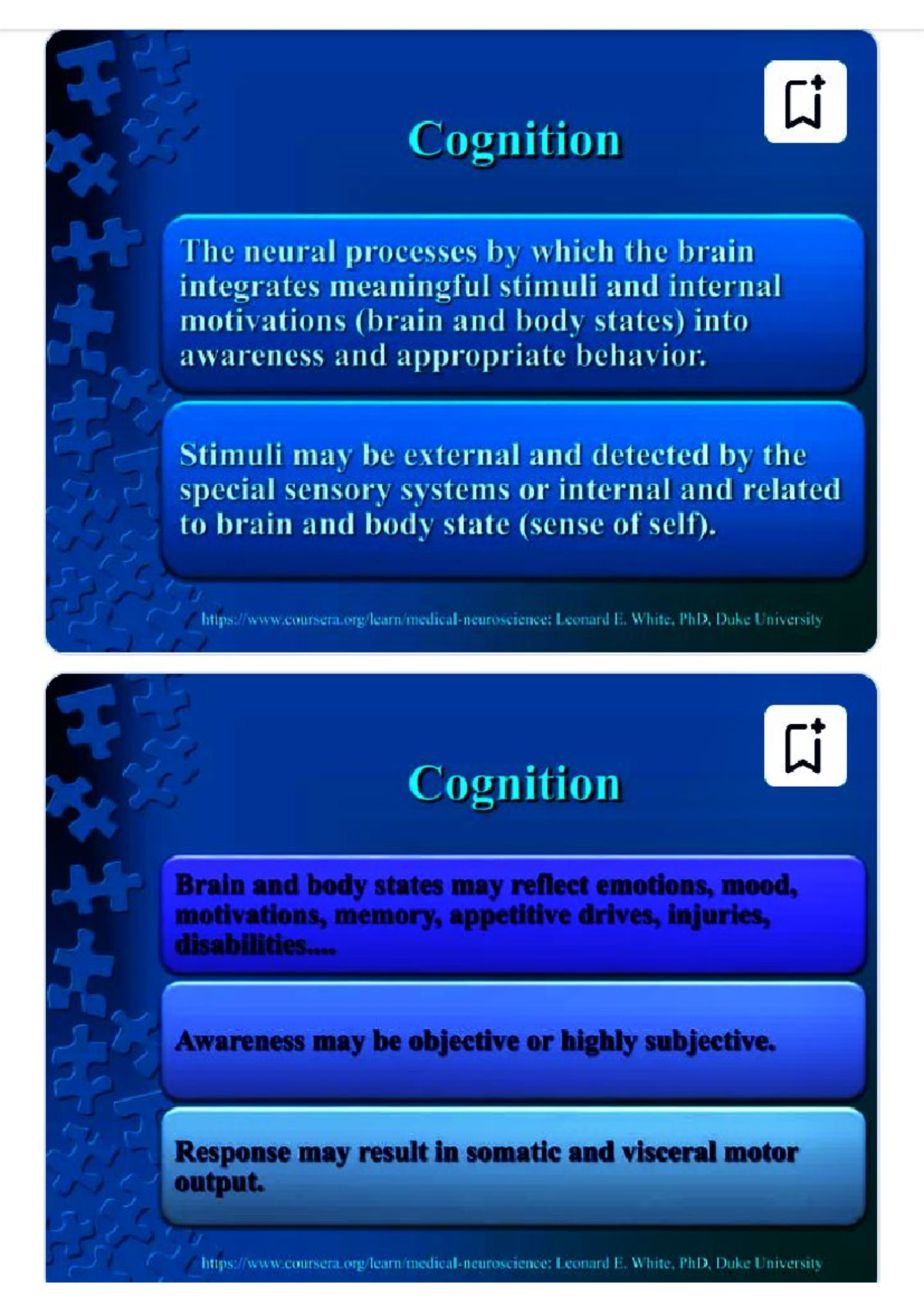 Cognition and the Role of Association Cortex in Behavioral Processes ...
