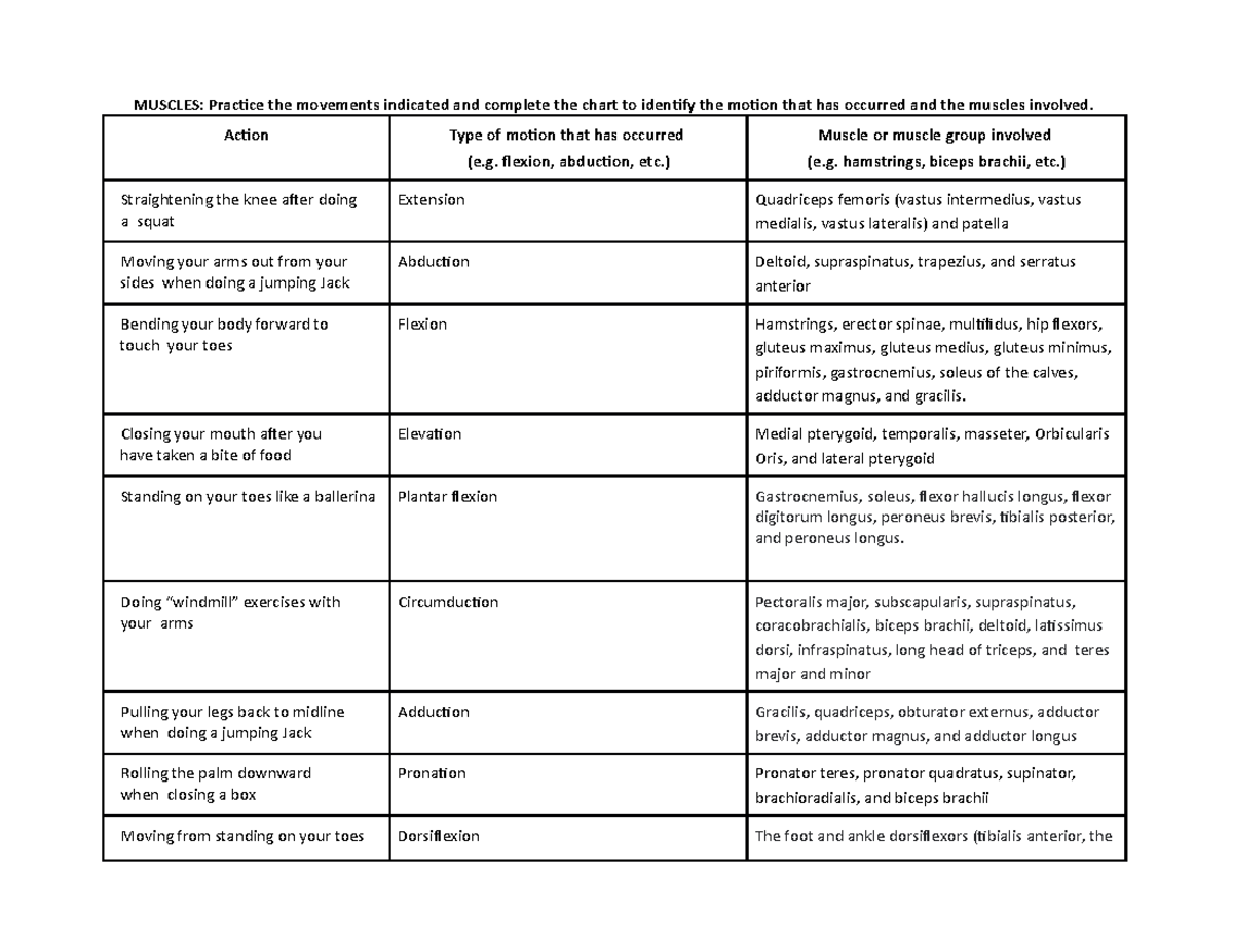 MUSC 101 Lab Report: Simple Motor Movements & Muscle Identification ...