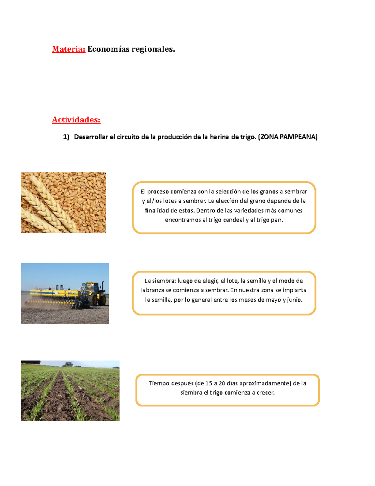 Circuito Productivo del Trigo en la Zona Pampeana: Proceso Completo ...
