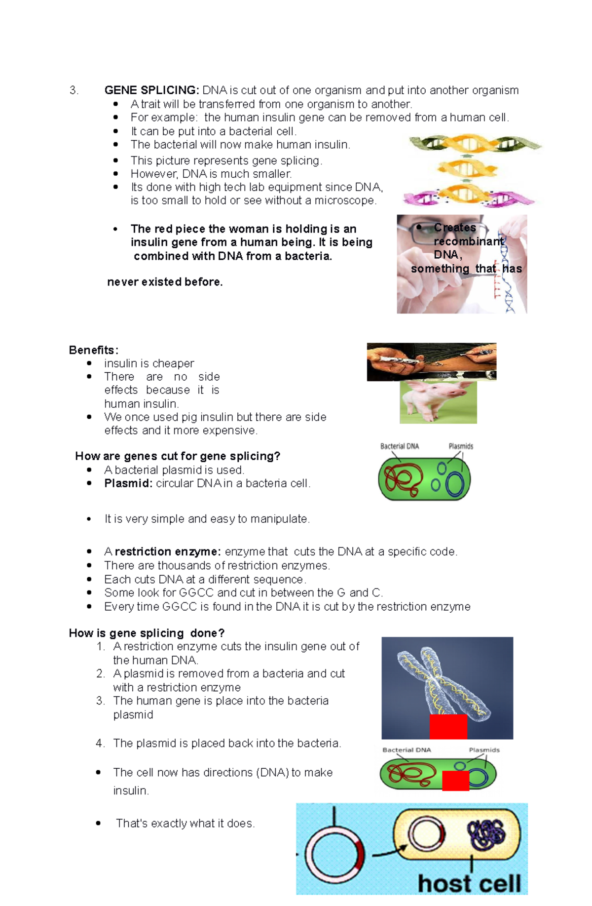 Gene Splicing & Genetic Engineering: Key Concepts and Applications ...