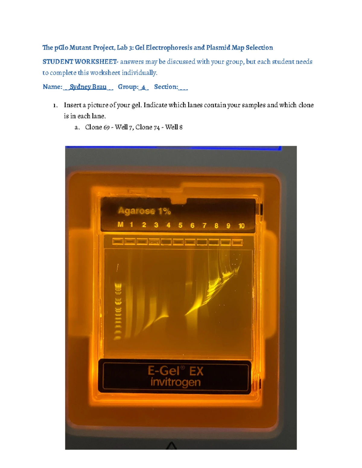 The p Glo Mutant Project Lab 3 worksheet v5 - The pGlo Mutant Project ...