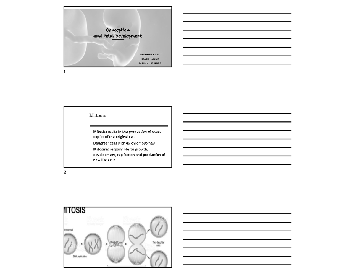 Conception and Fetal Development Notes - NSG 300 Fall 2024 - Conception ...