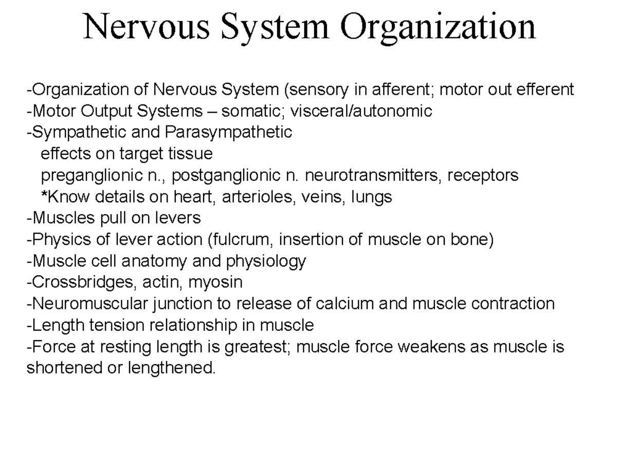Lecture+7+Visceral+and+Somatic+Motor+2025 - Nervous System Organization ...