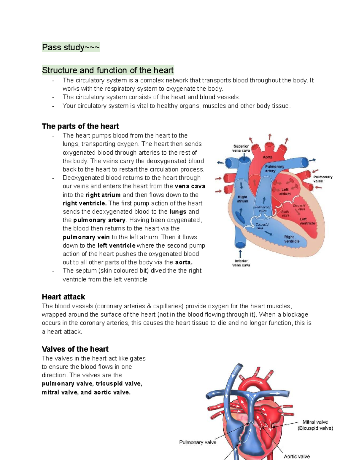 PASS 101: Structure and Function of the Heart - Study Notes - Studocu