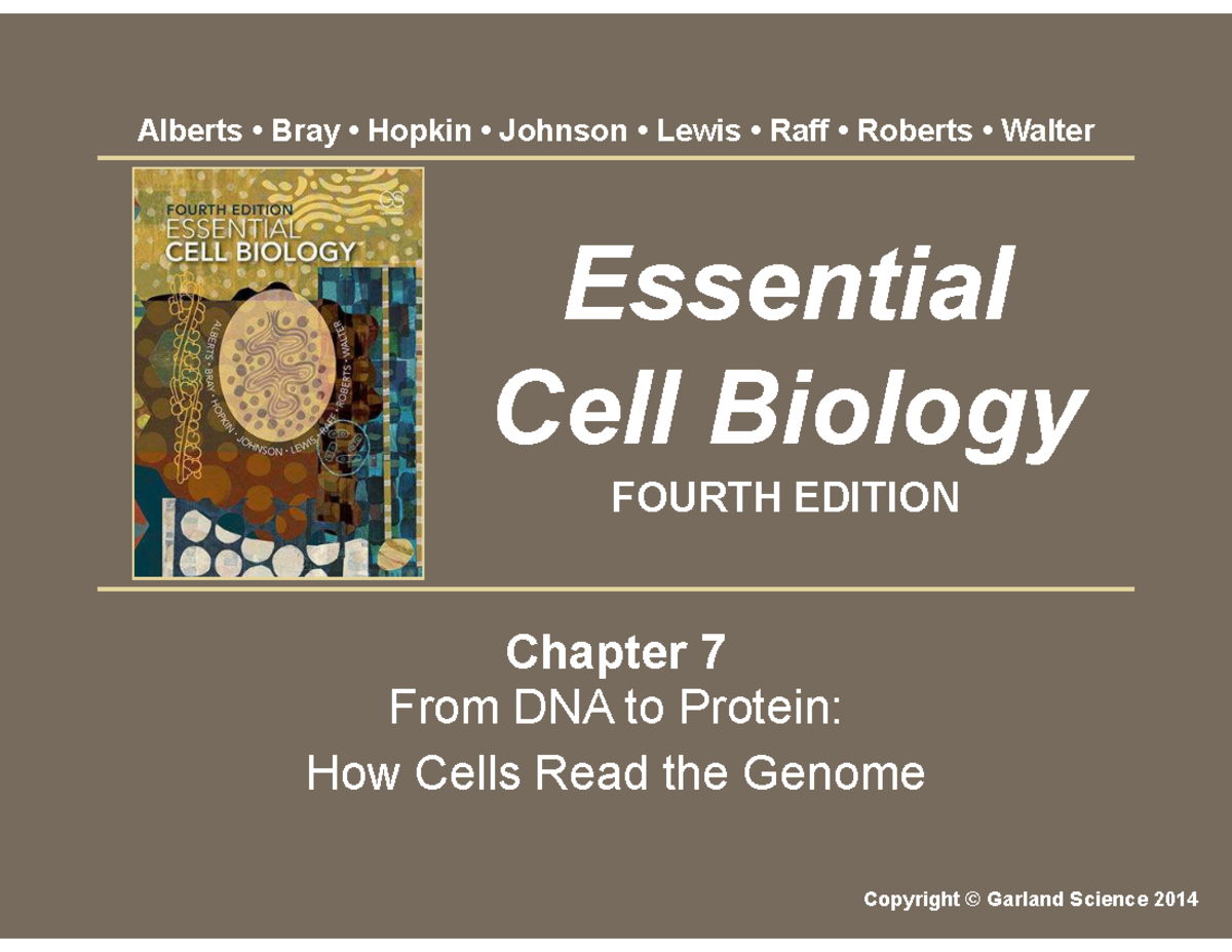 Cell Mol Biology (CMB) Chapter 7: From DNA to Protein Overview - Studocu